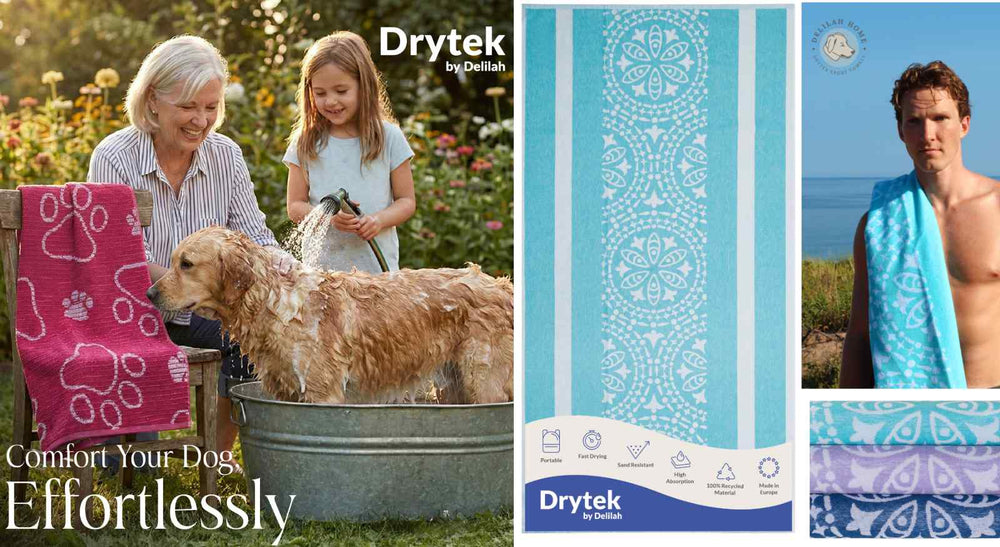 Delilah Home deal banner